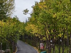 -青藏高原野生动物园