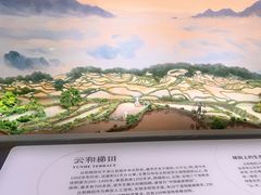 -中国湿地博物馆