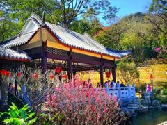 -广州市白云山风景名胜区