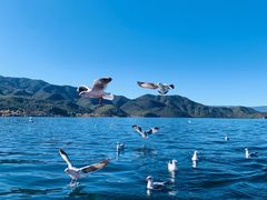 -丽江泸沽湖景区