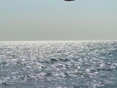 -北戴河东海水浴场