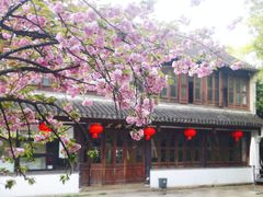 -惠山古镇·寄畅园