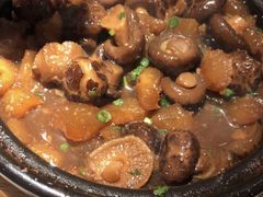 花菇煨蹄筋-百年神厨·地道川菜(清江西路店)
