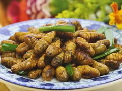 韭菜炒蚕蛹-纪林菜馆·博山菜老字号(华光路店)