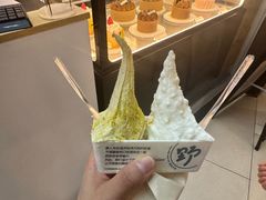 -野人先生现做冰淇淋(北京环宇荟店)