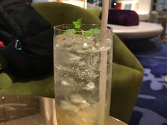 -苏州金鸡湖文博诺富特酒店