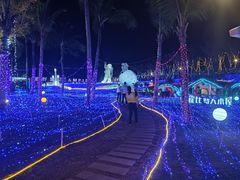 -三亚红色娘子军演艺公园景区