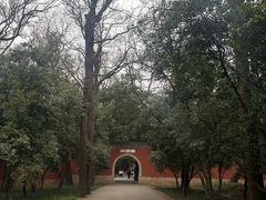 -灵谷景区