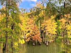 -青山湖景区