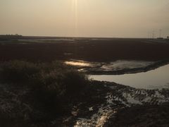 -红海滩国家风景廊道