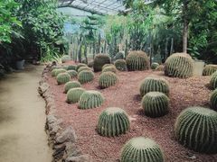 -呀路古热带植物园