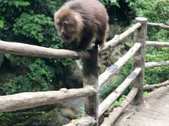 -峨眉山风景名胜区