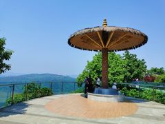 -铁山坪森林公园