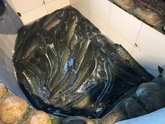 -湘芙蓉·湖南菜(椒江店)