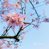 以水为媒，奏响五彩斑斓的春日序曲
