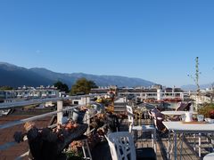 -唐咖精品咖啡(大理古城手冲店)