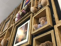 -咖法森林·咖啡  酒吧(天河店)