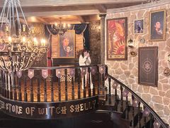 -雪灵魔法世界SHELLY’S TAROT(大良桂畔里店)