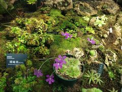 -国家植物园南园