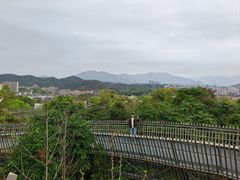 -福道
