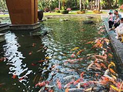 -三亚湾海居铂尔曼度假酒店