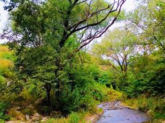 -白水寺森林公园