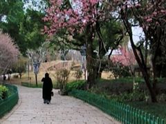 -乌山风景区
