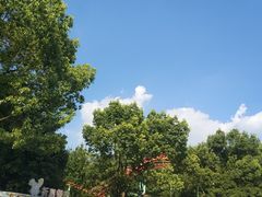 -杭州少年儿童公园