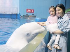 -福州罗源湾海洋世界旅游区