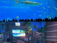 -珠海长隆海洋王国