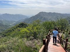-大岭沟猕猴桃谷风景区