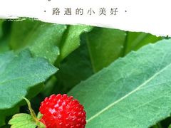 -南京市无想山景区