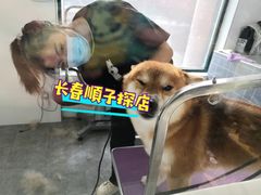 -宠颐生动物医院·心脏科·保险定点(锦阳分院)