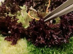 -双湖宴·湖北菜(文化路店)