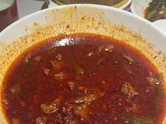 -大鸭梨烤鸭店(花园村店)
