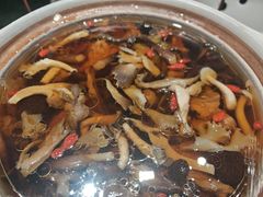 -国惠大酒楼(仓山万达店)