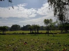 -福建鲤鱼洲酒店