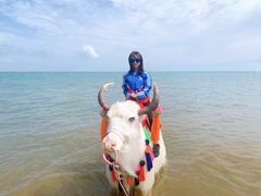 -青海湖国家重点风景名胜区