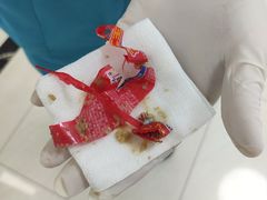 -美联众合动物医院·24h京西诊疗中心