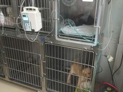 -狗舍宠物医院(四季商业广场店)