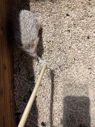 -酷嗒动物文化乐园(cutezoo西溪乐天城店)