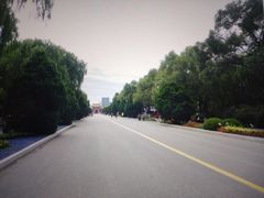 -北陵公园