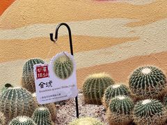 -正佳雨林生态植物园