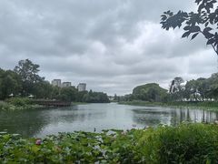 -新江湾城公园