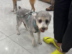 -安安宠医宠物医院·异宠·犬猫内科(岳阳分院)