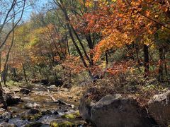 -玉渡山自然风景区