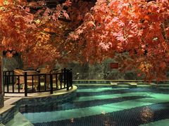 -寻梦盛唐主题水会(龙岗店)