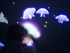 -暹罗海洋世界