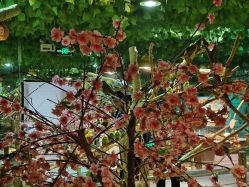 -酷嗒动物文化乐园(cutezoo西溪乐天城店)