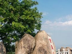 -阳台山森林公园
